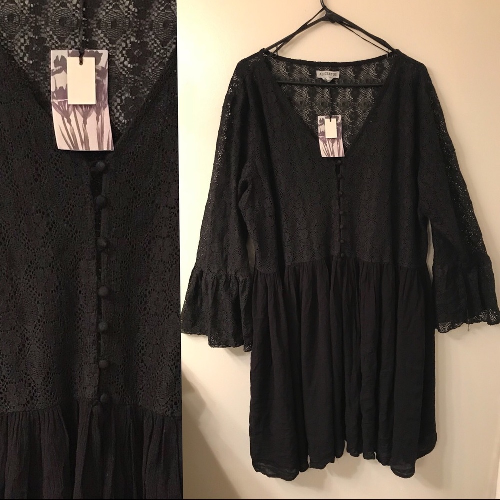 Alice & You Sheer Dress